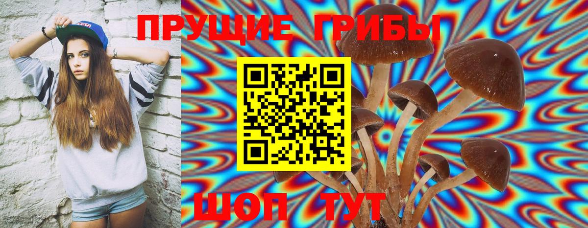 Псилоцибиновые грибы Cubensis  Вход с VPN  Нальчик 